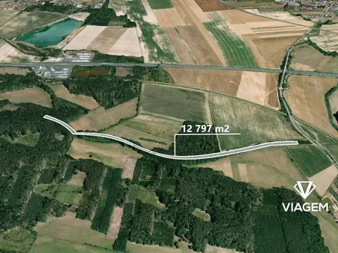 Prodej podílu lesa, Sokoleč, 1999 m2