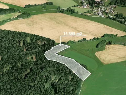 Prodej podílu lesa, Mříčná, 3898 m2