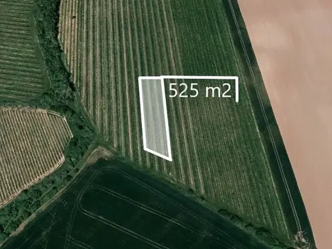 Prodej podílu pole, Boršice, 262 m2