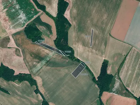 Prodej pole, Džbánice, 24528 m2