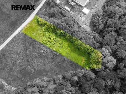 Prodej pozemku pro bydlení, Nový Bor, 2529 m2