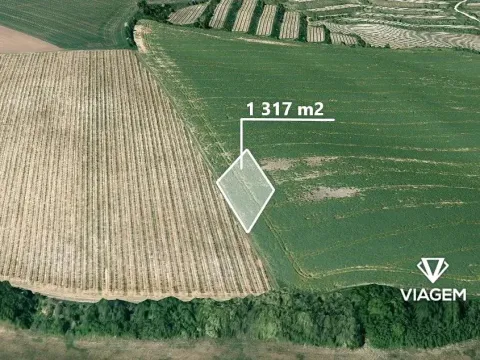 Prodej pole, Nosislav, 5643 m2