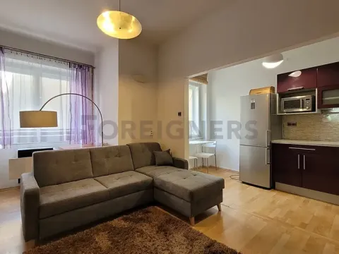 Pronájem bytu 2+kk, Brno, Botanická, 56 m2