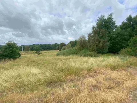 Dražba louky, Aš, 2675 m2