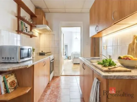 Prodej bytu 2+kk, Praha - Žižkov, Hartigova, 54 m2