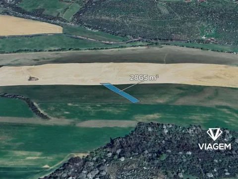 Prodej podílu pole, Újezdec, 955 m2