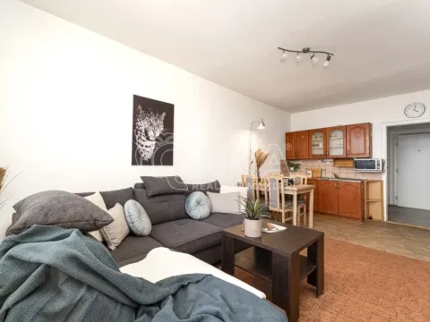 Prodej bytu 1+kk, Ostrava - Moravská Ostrava, Gen. Píky, 27 m2