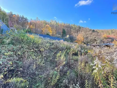 Prodej pozemku pro bydlení, Brno, Kopretinová, 1163 m2