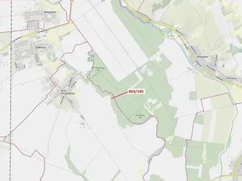 Dražba lesa, Přísnotice, 31 m2