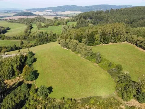 Dražba louky, Chlistov, 4212 m2