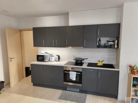 Pronájem bytu 2+kk, Olomouc, Eduarda Hamburgera, 51 m2