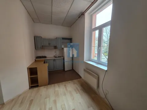 Pronájem bytu 1+kk, Plzeň, Rokycanská, 30 m2