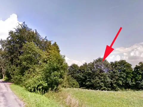 Prodej lesa, Cotkytle, 7064 m2