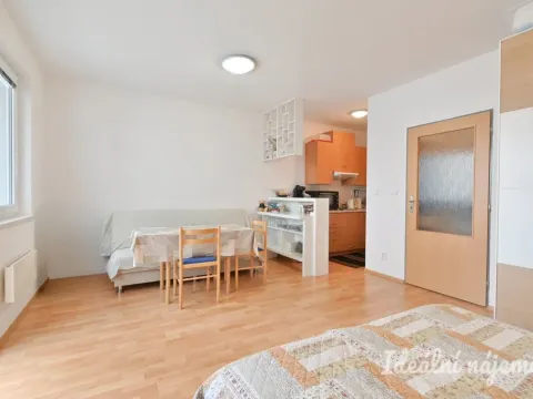 Pronájem bytu 1+kk, Brno - Zábrdovice, Francouzská, 30 m2