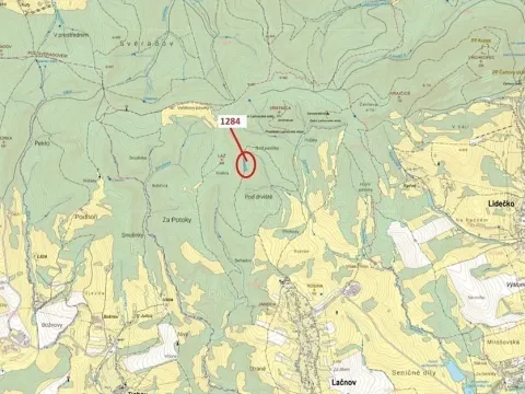 Dražba lesa, Lačnov, 3805 m2