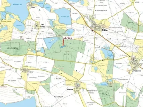 Dražba lesa, Břehov, 13807 m2