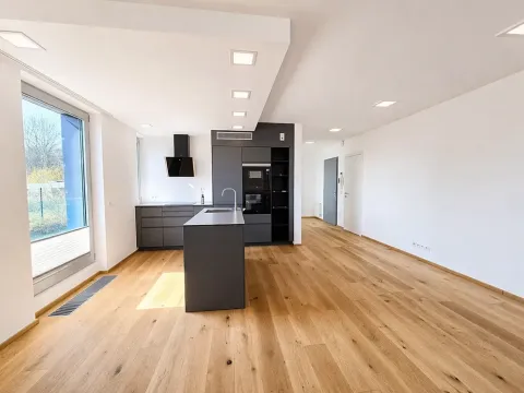 Pronájem bytu 3+kk, Praha - Smíchov, U Dívčích hradů, 123 m2