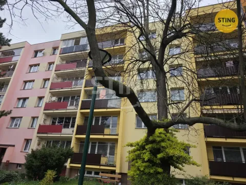 Pronájem bytu 1+1, Opava, 17. listopadu, 38 m2