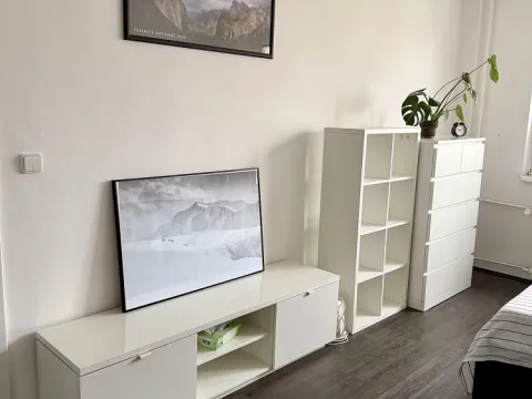 Pronájem bytu 1+1, Praha - Vokovice, Angolská, 40 m2