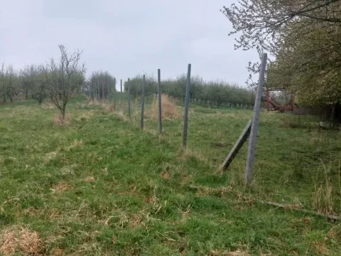 Prodej pozemku, Polom, 9766 m2