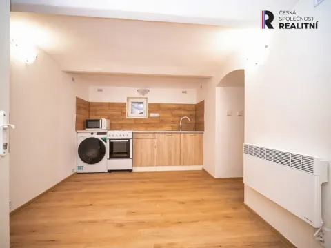 Prodej komerční nemovitosti, Brno - Židenice, Rokycanova, 50 m2