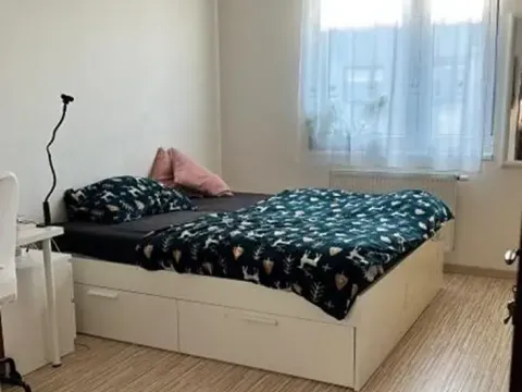 Pronájem pokoje, Praha - Chodov, Babická, 15 m2