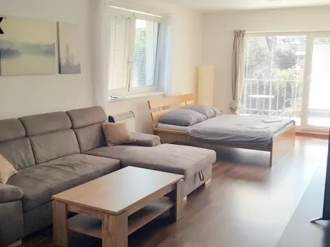 Pronájem bytu 1+kk, Hradec Králové - Nový Hradec Králové, Pod Zámečkem, 48 m2