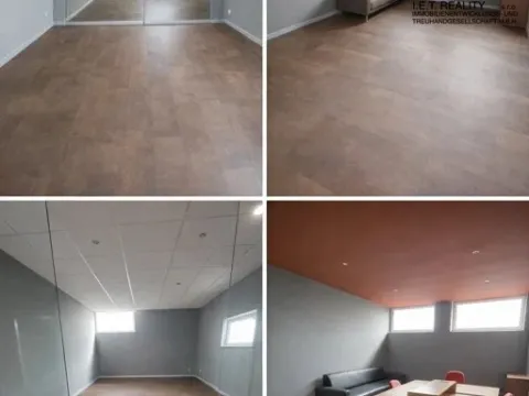 Prodej výrobních prostor, Ostrava - Hrušov, Kanczuckého, 300 m2