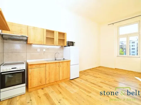 Pronájem bytu 2+kk, Praha - Bubeneč, Bubenečská, 59 m2