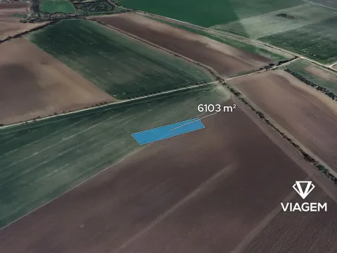 Prodej podílu pole, Třibřichy, 381 m2