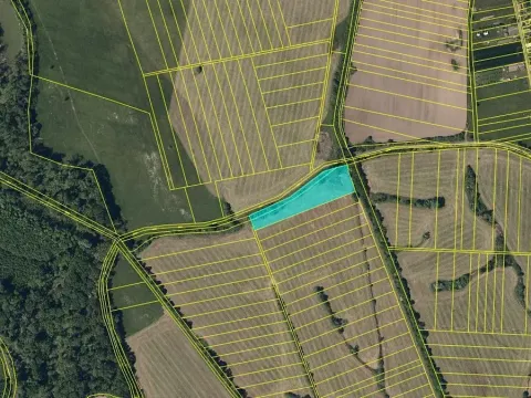 Dražba louky, Chropyně, 11841 m2