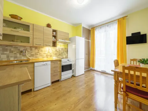Pronájem bytu 2+1, Ostrov, Lidická, 54 m2