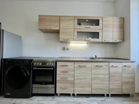 Pronájem bytu 1+1, Ostrava - Zábřeh, Březinova, 41 m2