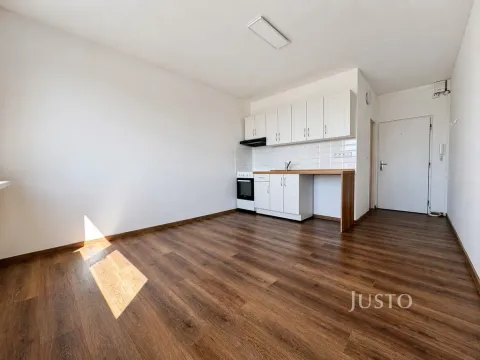 Pronájem bytu 1+1, Ústí nad Labem - Ústí nad Labem-centrum, Stará, 36 m2