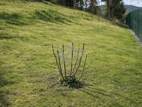 Prodej zahrady, Horní Bečva, 800 m2