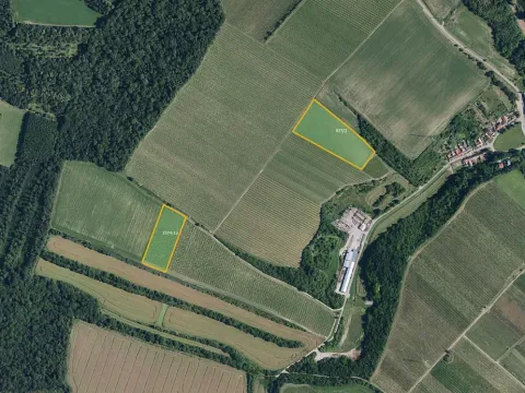 Prodej sadu/vinice, Bulhary, 30390 m2