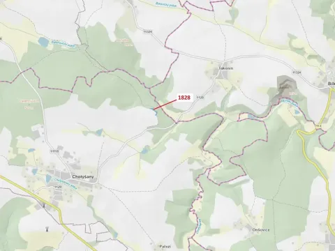 Dražba lesa, Chotýšany, 1841 m2