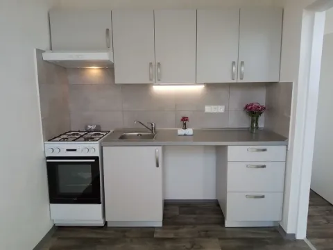 Pronájem bytu 2+1, Ostrava - Zábřeh, Horymírova, 44 m2