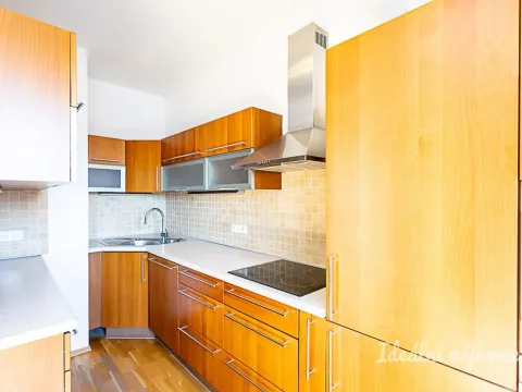 Pronájem bytu 3+kk, Praha - Holešovice, Osadní, 76 m2