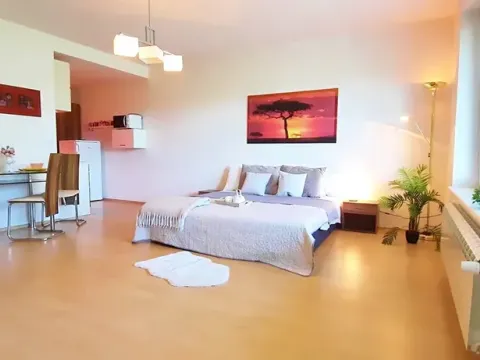 Pronájem bytu 1+kk, Brno, Šemberova, 51 m2