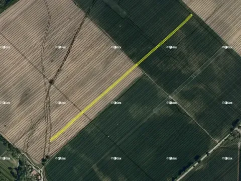 Prodej pole, Dubňany, 7051 m2