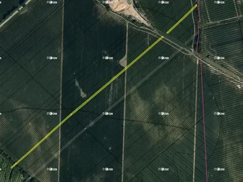 Prodej pole, Dubňany, 7012 m2