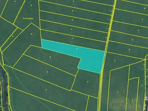 Prodej louky, Příchovice, 6214 m2