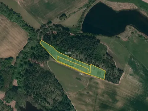 Prodej lesa, Třebíč, 14245 m2