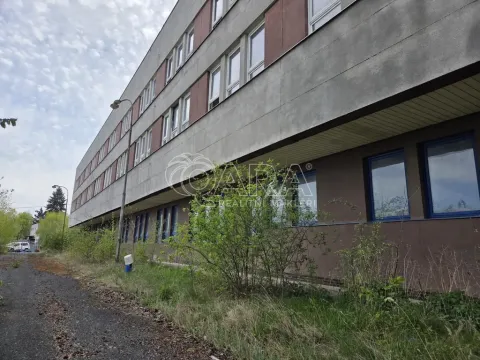 Pronájem obchodního prostoru, Přelouč, Jaselská, 5000 m2