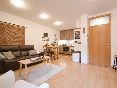 Pronájem rodinného domu, Praha - Střešovice, Nad hradním vodojemem, 350 m2