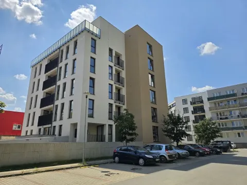 Pronájem bytu 1+kk, Plzeň, Goldscheiderova, 30 m2