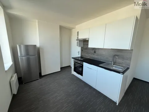 Pronájem bytu 1+kk, Chomutov, Žižkovo náměstí, 26 m2