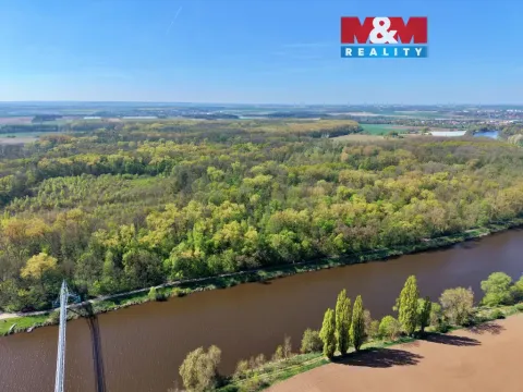 Prodej lesa, Přerov nad Labem, 70048 m2