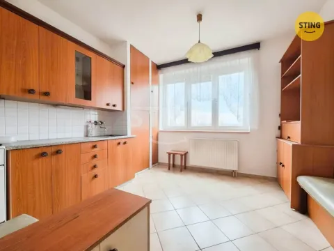 Prodej bytu 1+1, Jihlava, Na Vyhlídce, 44 m2
